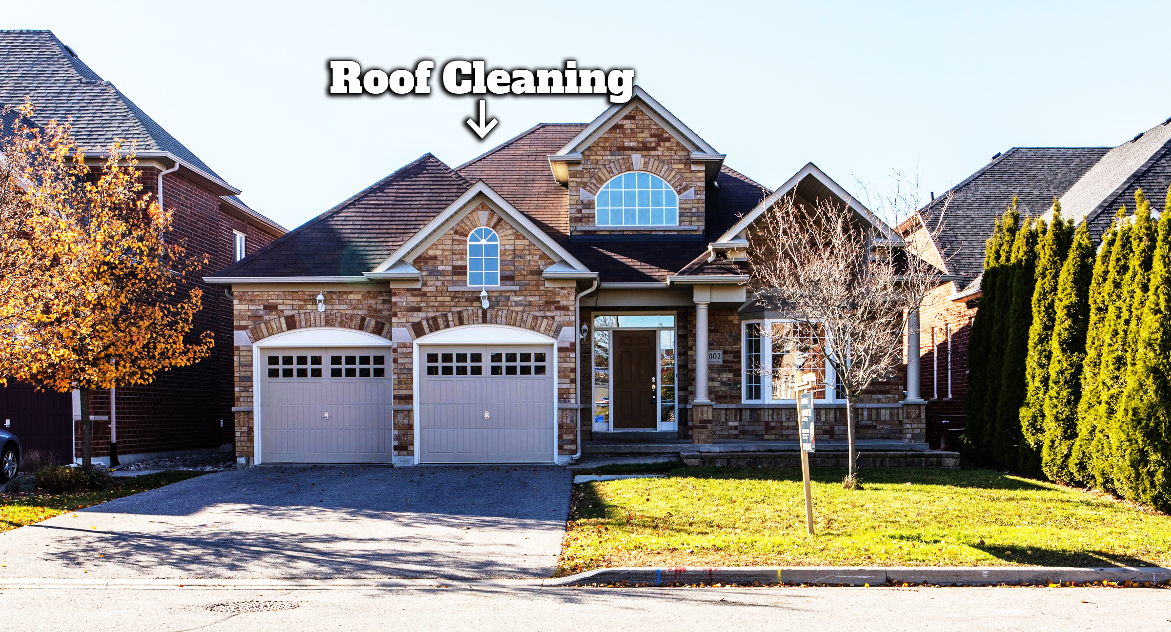 Roof Cleaning